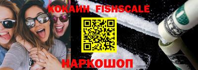 тгк Кингисепп
