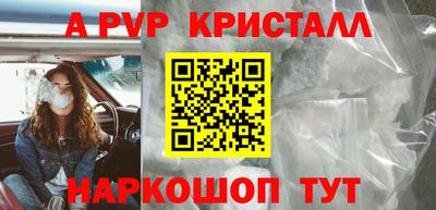 тгк Кингисепп