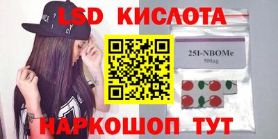 тгк Кингисепп