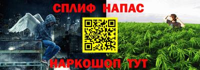 стаф Кимры