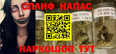 тгк Кингисепп