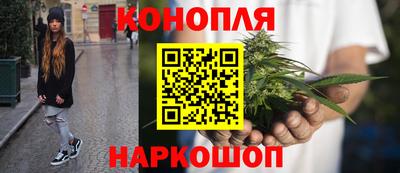 тгк Кингисепп