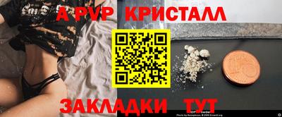 тгк Кингисепп