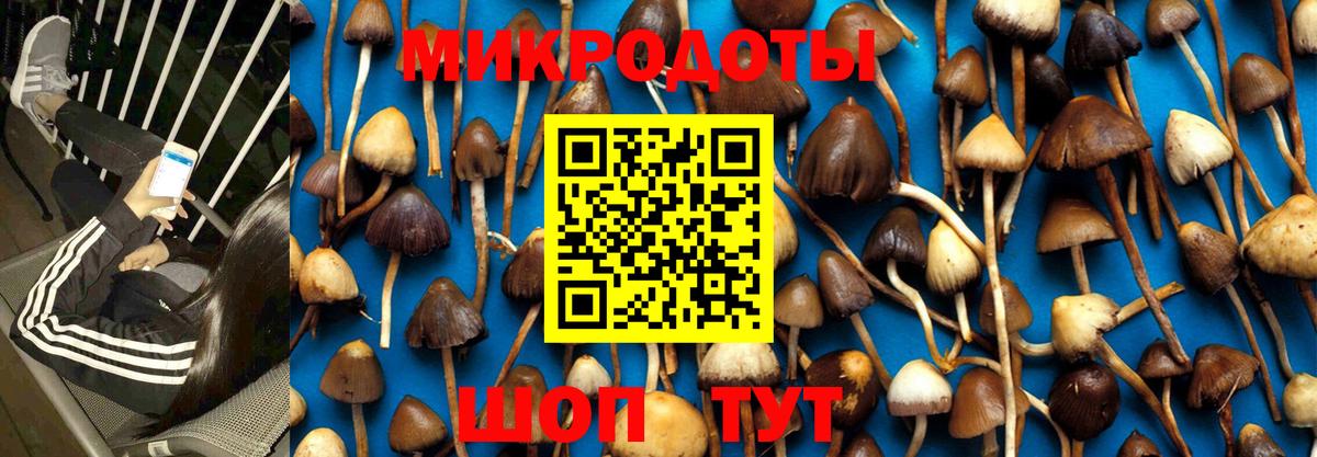 Галлюциногенные грибы Cubensis Кубинка